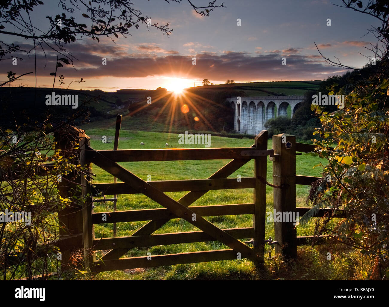 Cannington Viaduct near Uplyme on the Dorset Devon Border Stock Photo