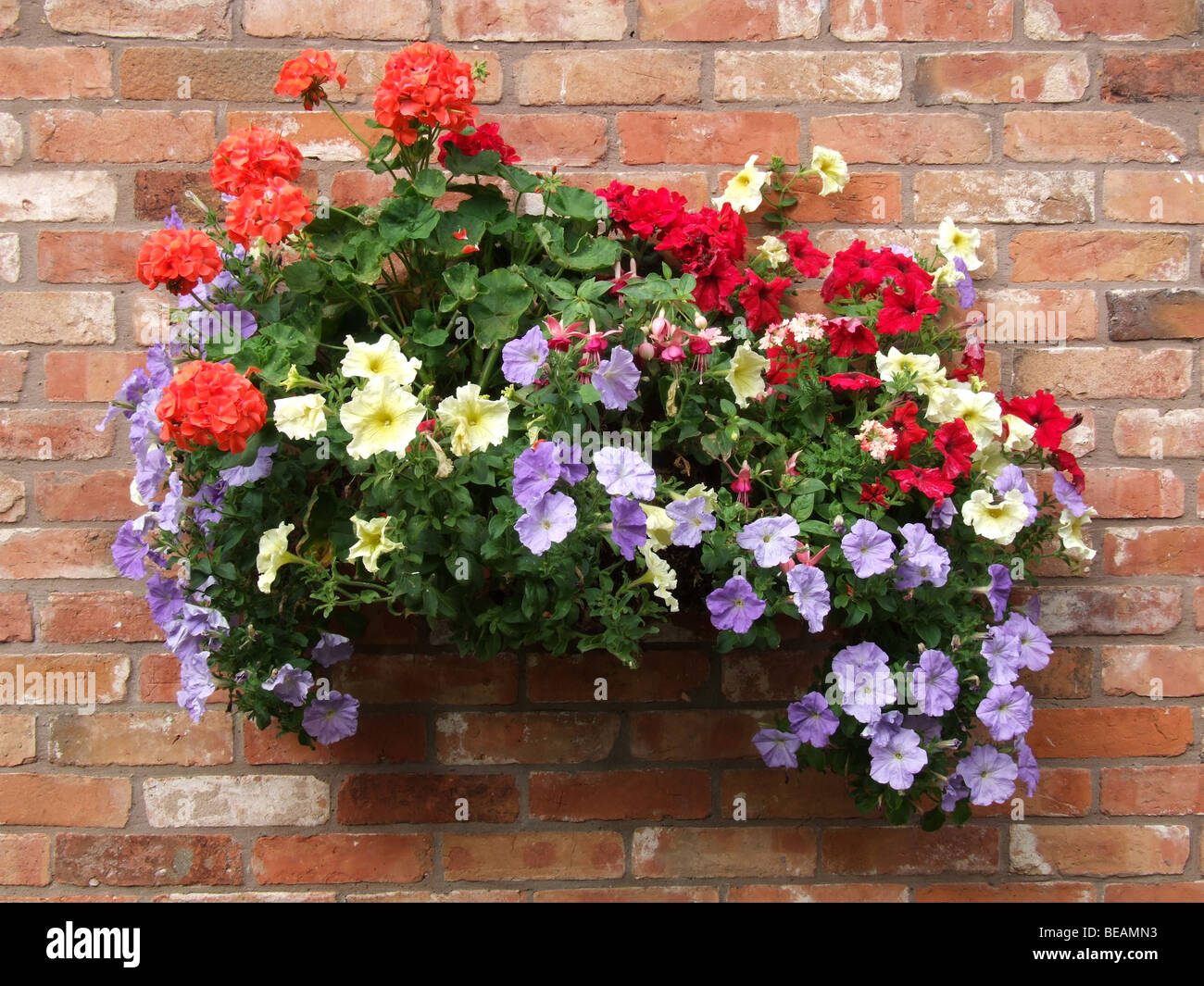 Red brick wall with flowers hires stock photography and images Alamy