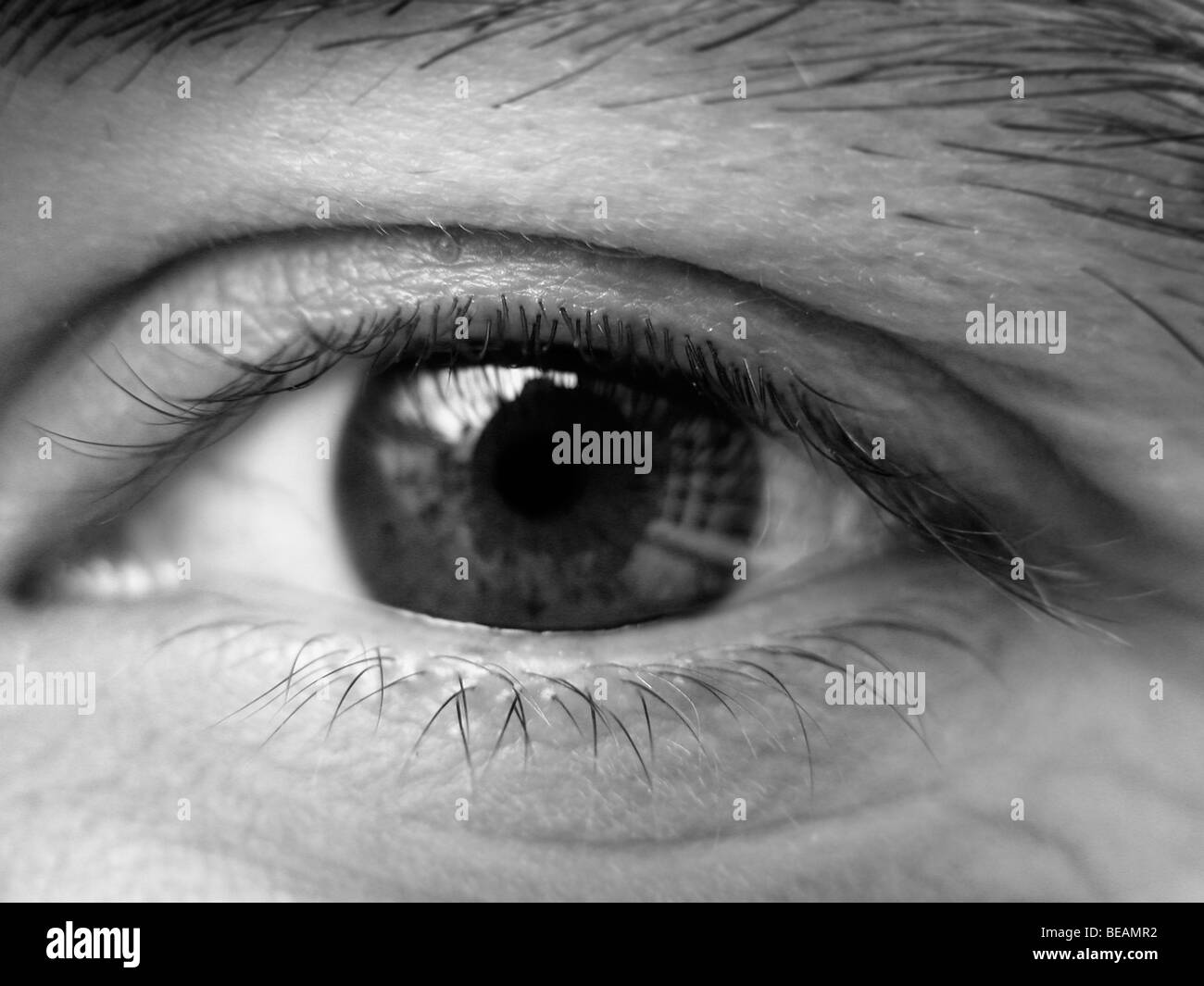 Eyelash detail Black and White Stock Photos & Images Alamy