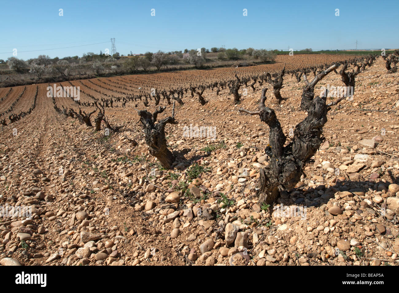 Gravelly soil hi-res stock photography and images - Alamy