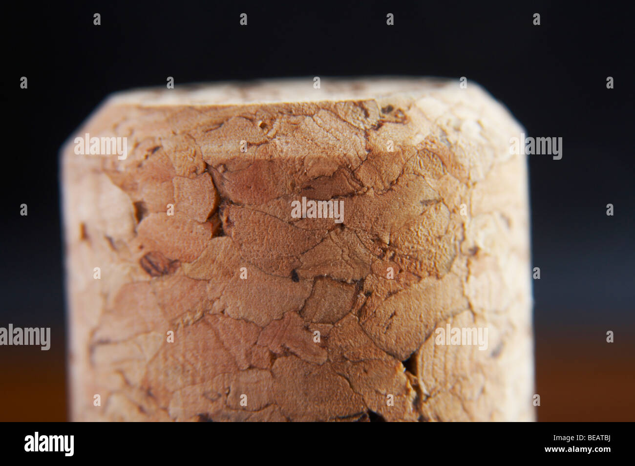 champagne cork before put in bottle Stock Photo Alamy