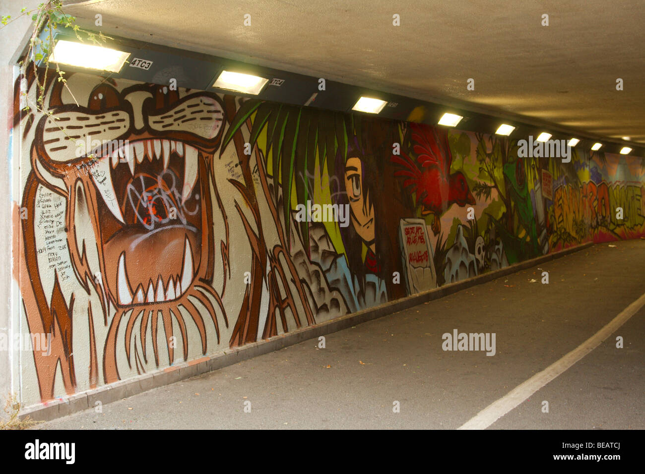 boston underpass art cut down on crime boston underpass art cut down on crime
