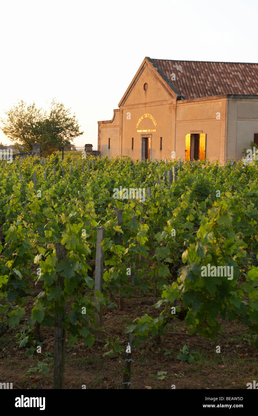 the winery at sunset chateau trottevieille saint emilion bordeaux france Stock Photo