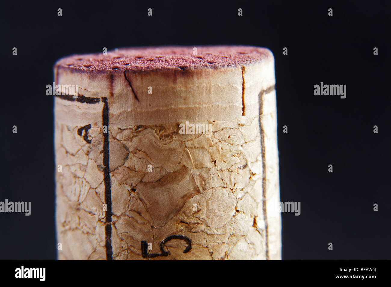 technical cork with disks at the end and glued agglomerate cork in the middle Stock Photo