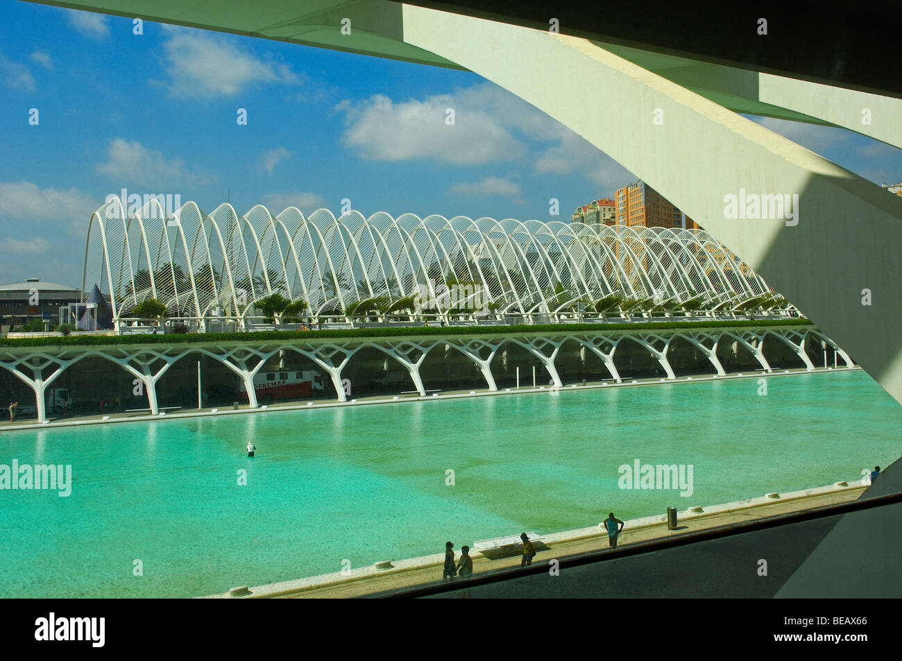 L´Umbracle, City of Arts and Sciences, by S. Calatrava.. Comunidad ...