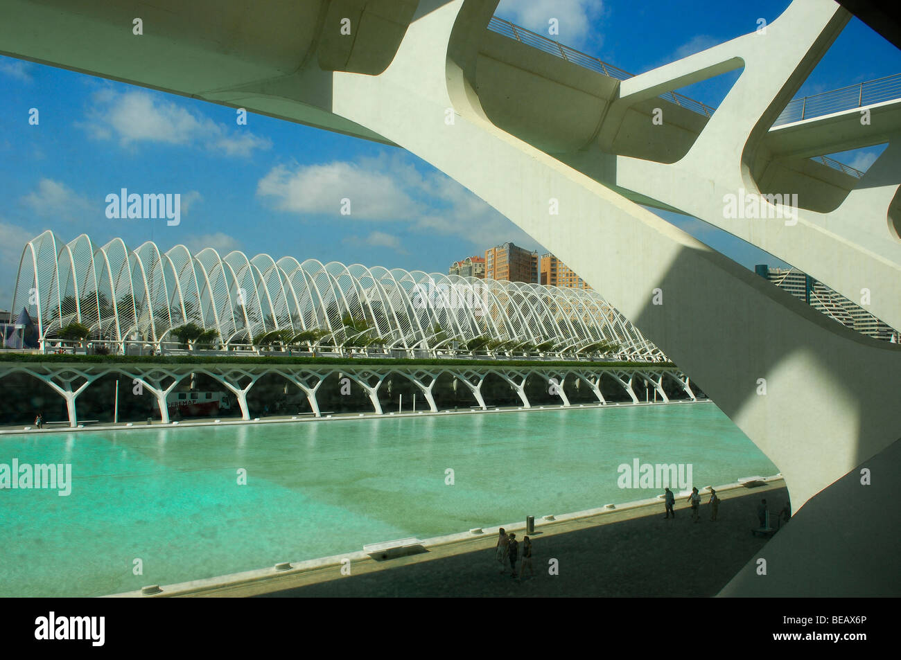 L´Umbracle, City of Arts and Sciences, by S. Calatrava.. Comunidad ...