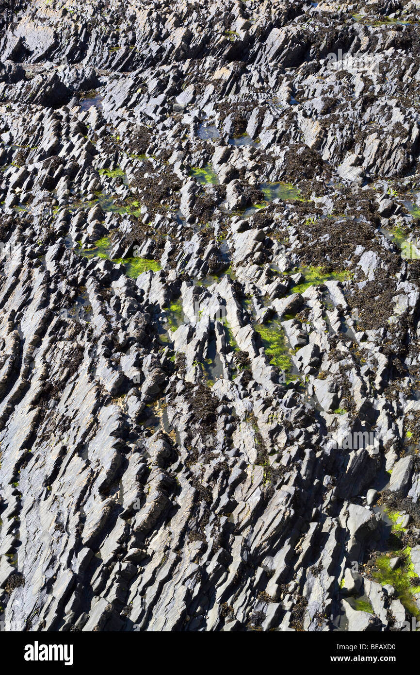 Foreshore rocks hi-res stock photography and images - Alamy