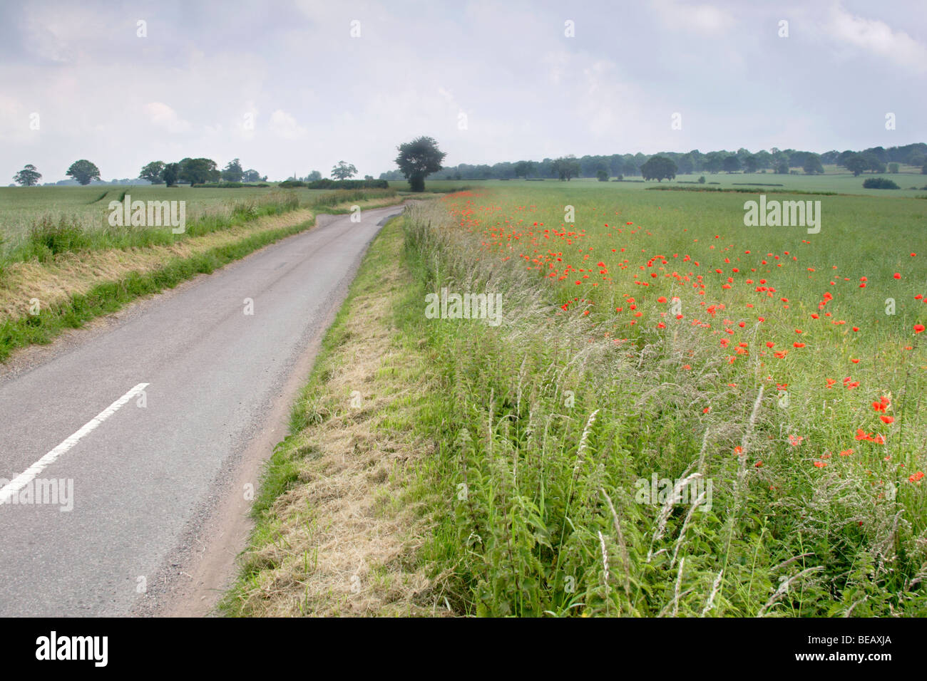 Agricultural land and country road near Newport , Shropshire , England , UK Stock Photo