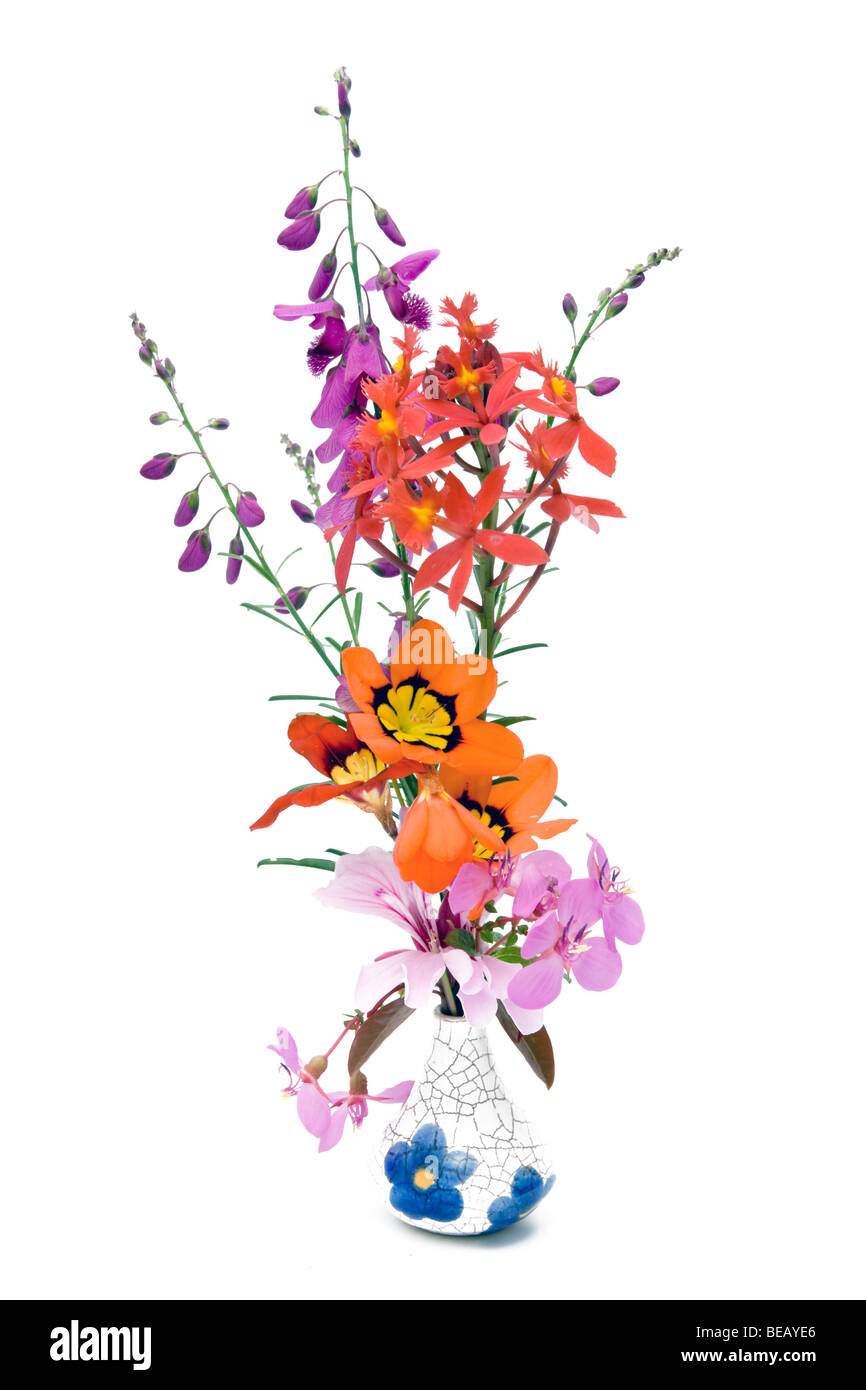 Spring flowers in a blue and white vase isolated on a white background ...