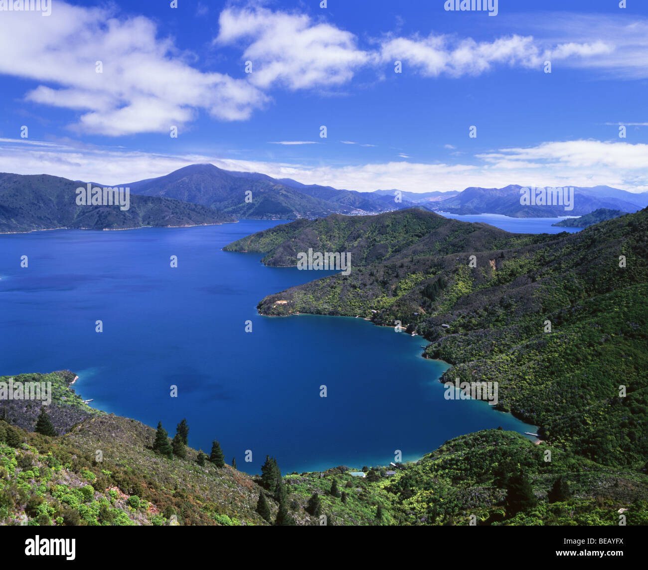 Blackwood Bay South Island New Zealand Stock Photo Alamy