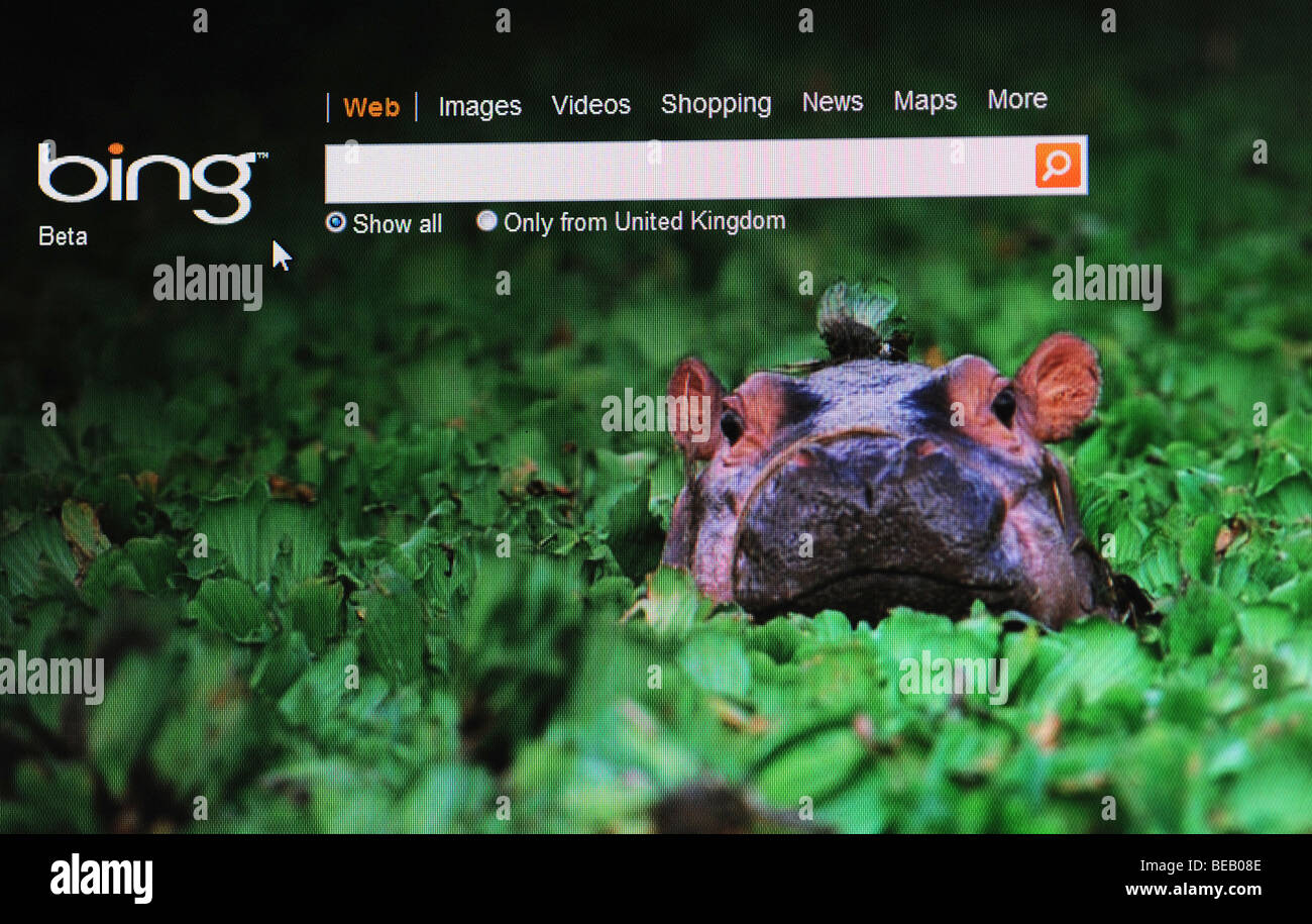 screenshot of Bing website – the new internet search engine launched by Microsoft in June 2009 Stock Photo