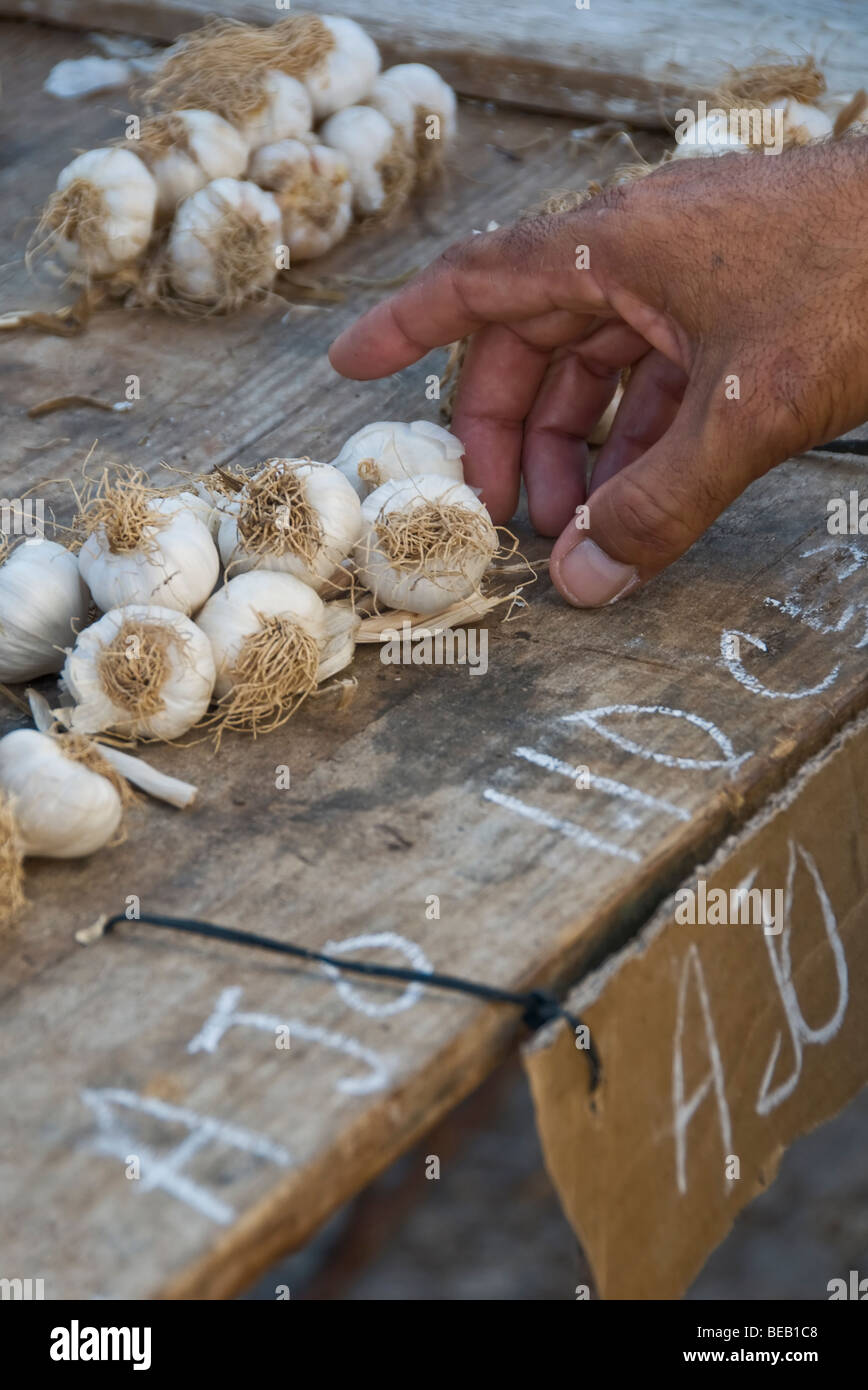 Selecting Garlic Trinidad Farmers Market, Trinidad, Cuba Stock Photo