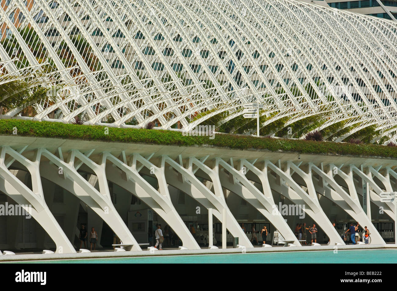 L´Umbracle, City of Arts and Sciences, by S. Calatrava.. Comunidad ...
