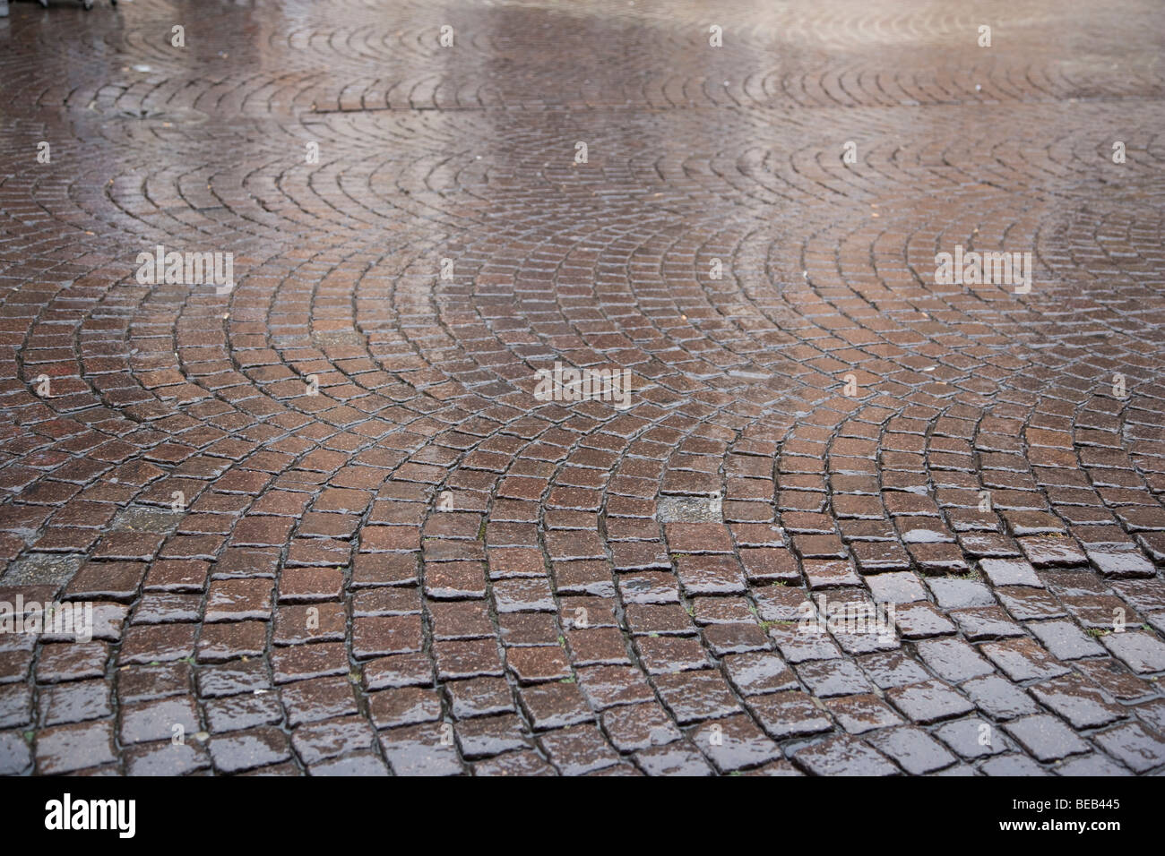 block paving in the rain Stock Photo Alamy