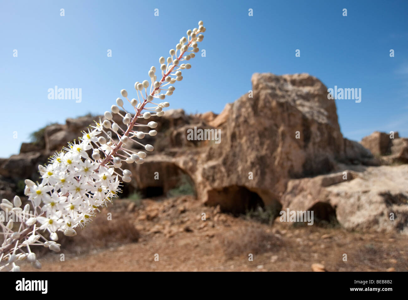 Tombs of the Kings Paphos Cyprus Stock Photo Alamy