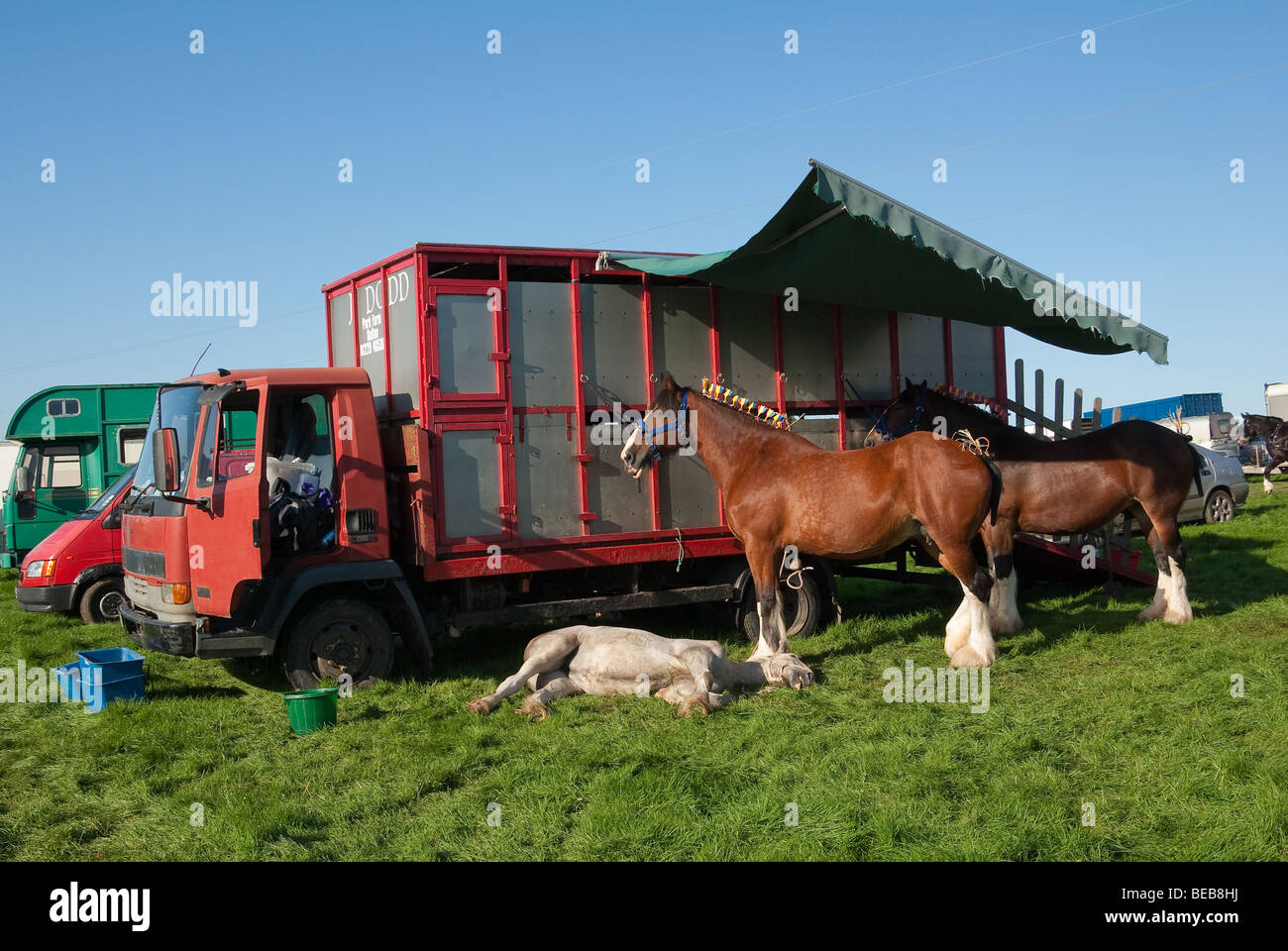 Horse box hires stock photography and images Alamy