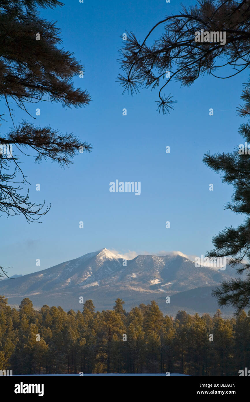 San Francisco Peaks on winter morning, viewed from NAU campus, Flagstaff, Arizona USA Stock Photo