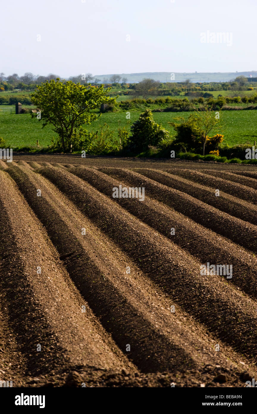 ploughed field Co Down Northern Ireland Stock Photo