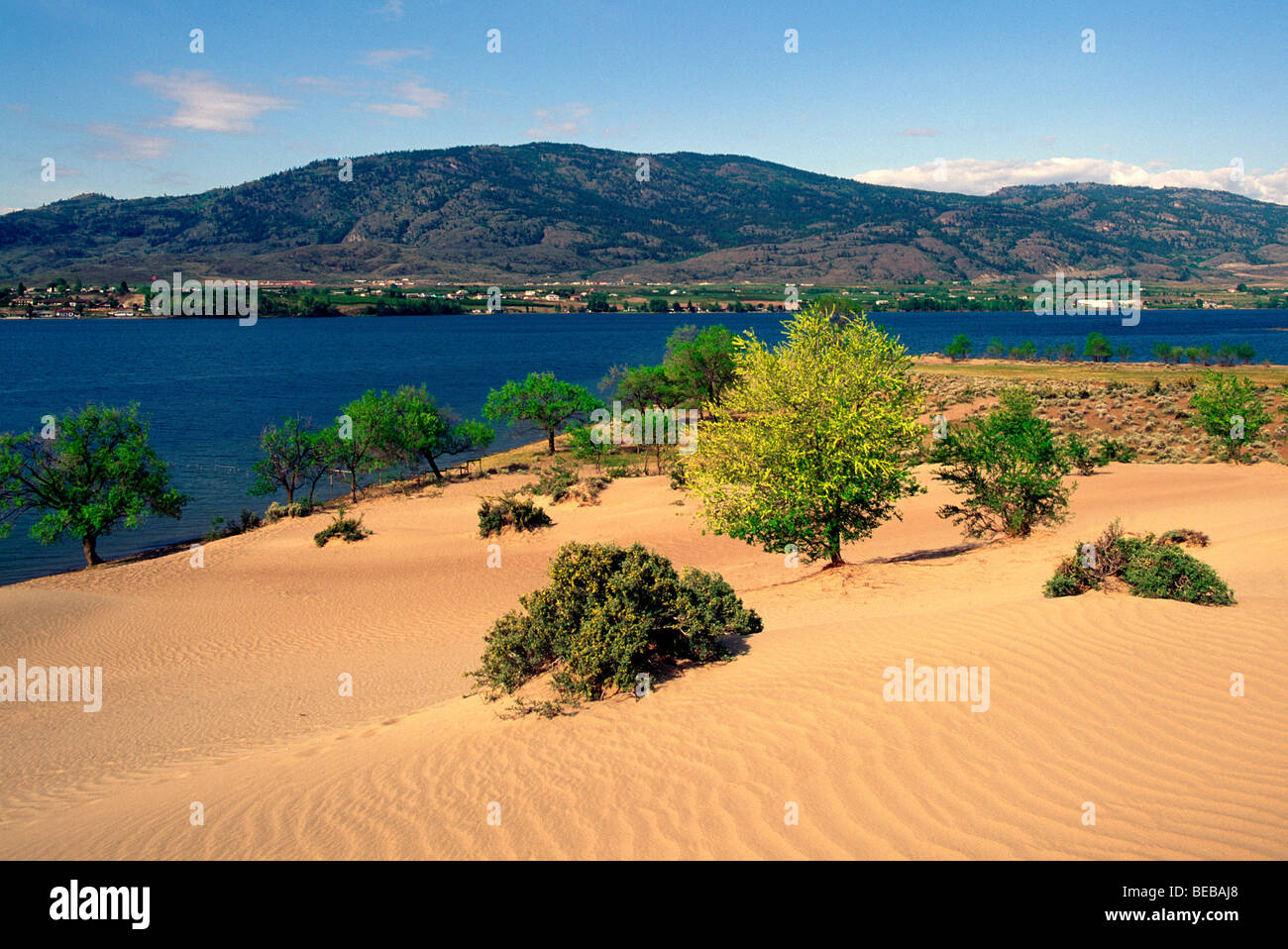 Desert Landscape Near Osoyoos South Okanagan Valley British Columbia Canada Pocket Desert And Osoyoos Lake Scenics Stock Photo Alamy