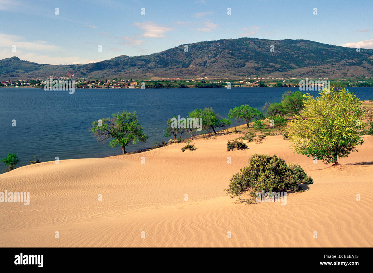 Desert Landscape Near Osoyoos South Okanagan Valley British Columbia Canada Pocket Desert And Osoyoos Lake Scenic Stock Photo Alamy