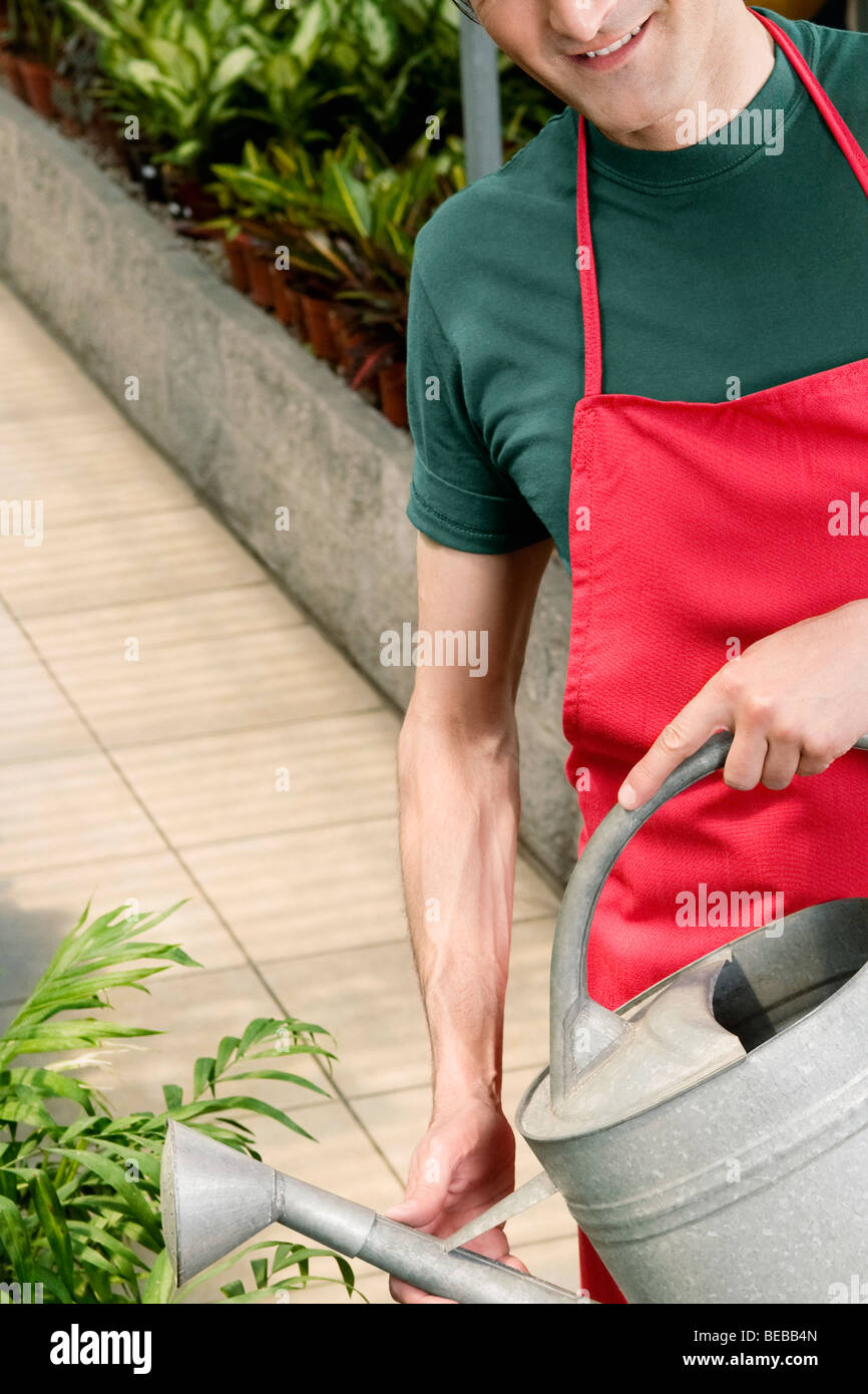 Man watering plants Stock Photo Alamy