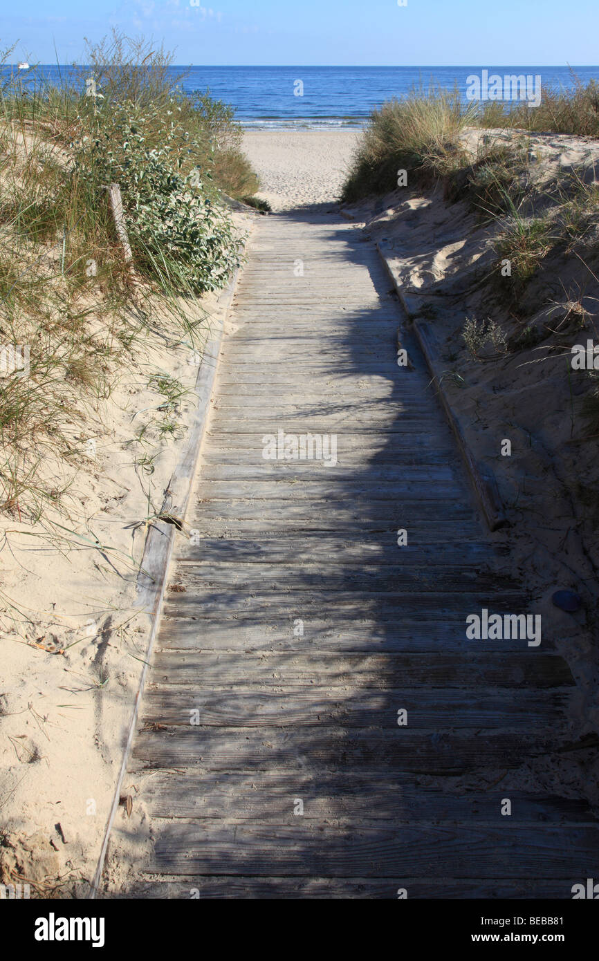 walking path to the beach through sand dunes and dune grass. Photo by ...