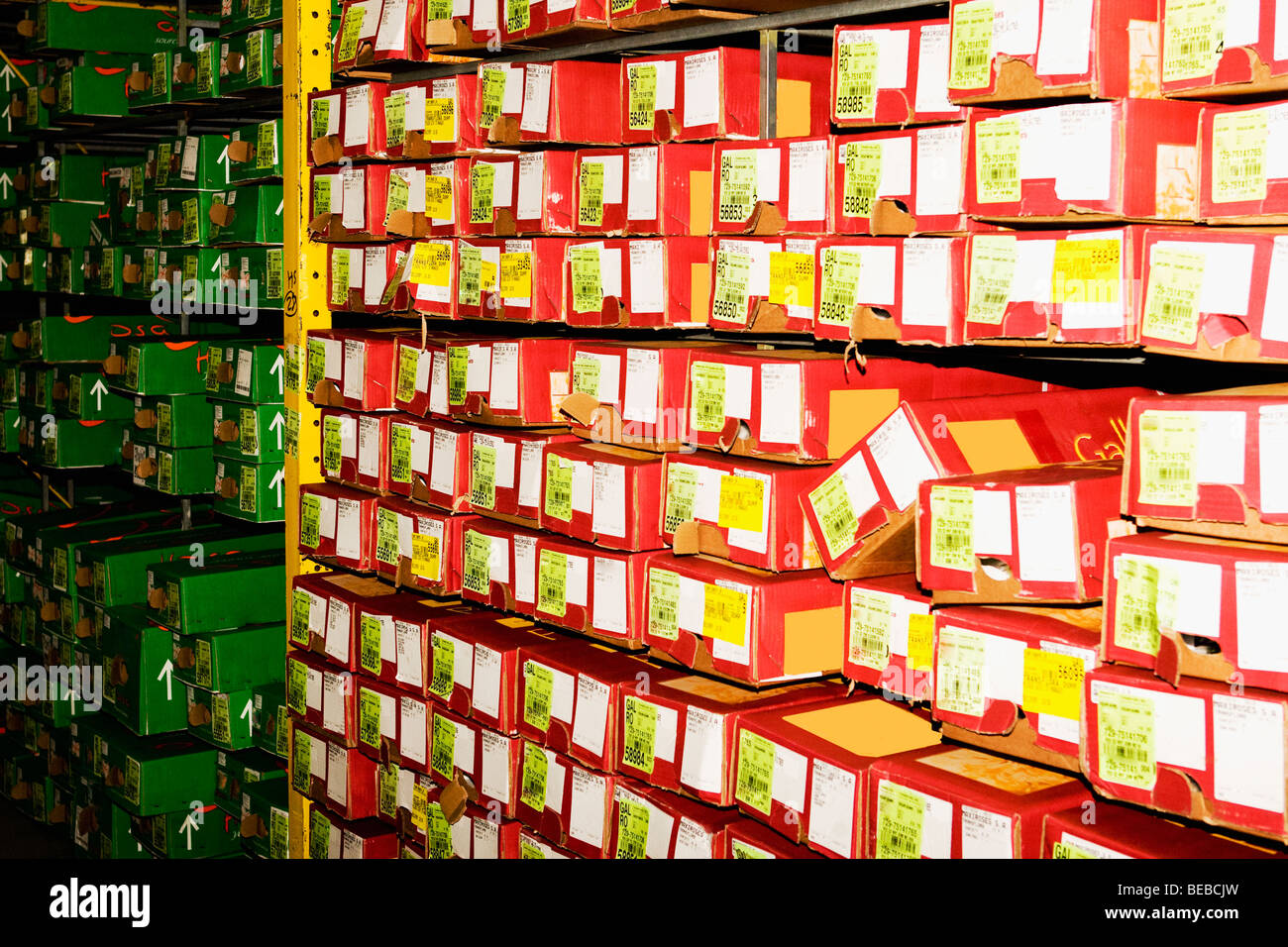 Flower boxes in a warehouse, Miami, Florida, USA Stock Photo Alamy