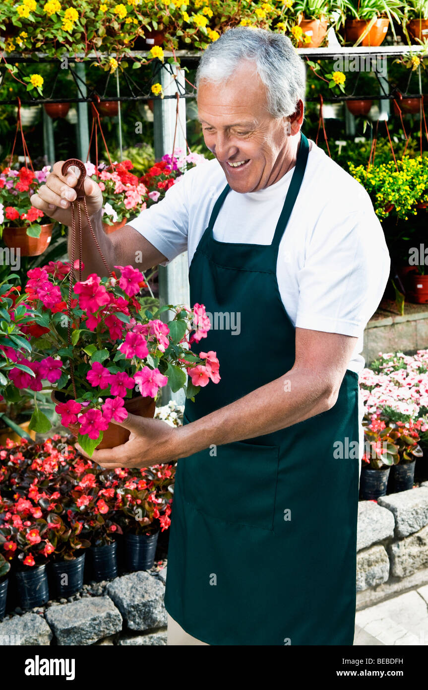 Man holding a hanging basket in a greenhouse Stock Photo - Alamy