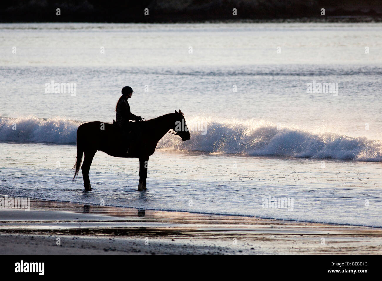 A horse rider on a beach on Waiheke Island (New Zealand) Stock Photo