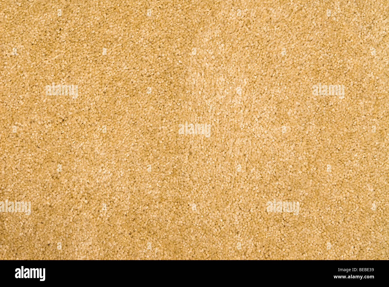 Brand new shag carpet. Can be used as a background for any cleaning or installation inference. Stock Photo