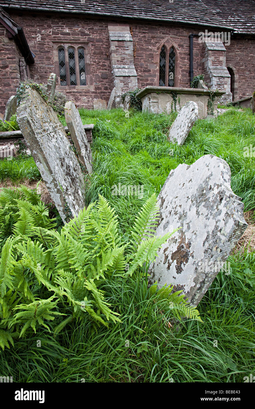 Overgrown churchyard hi-res stock photography and images - Alamy