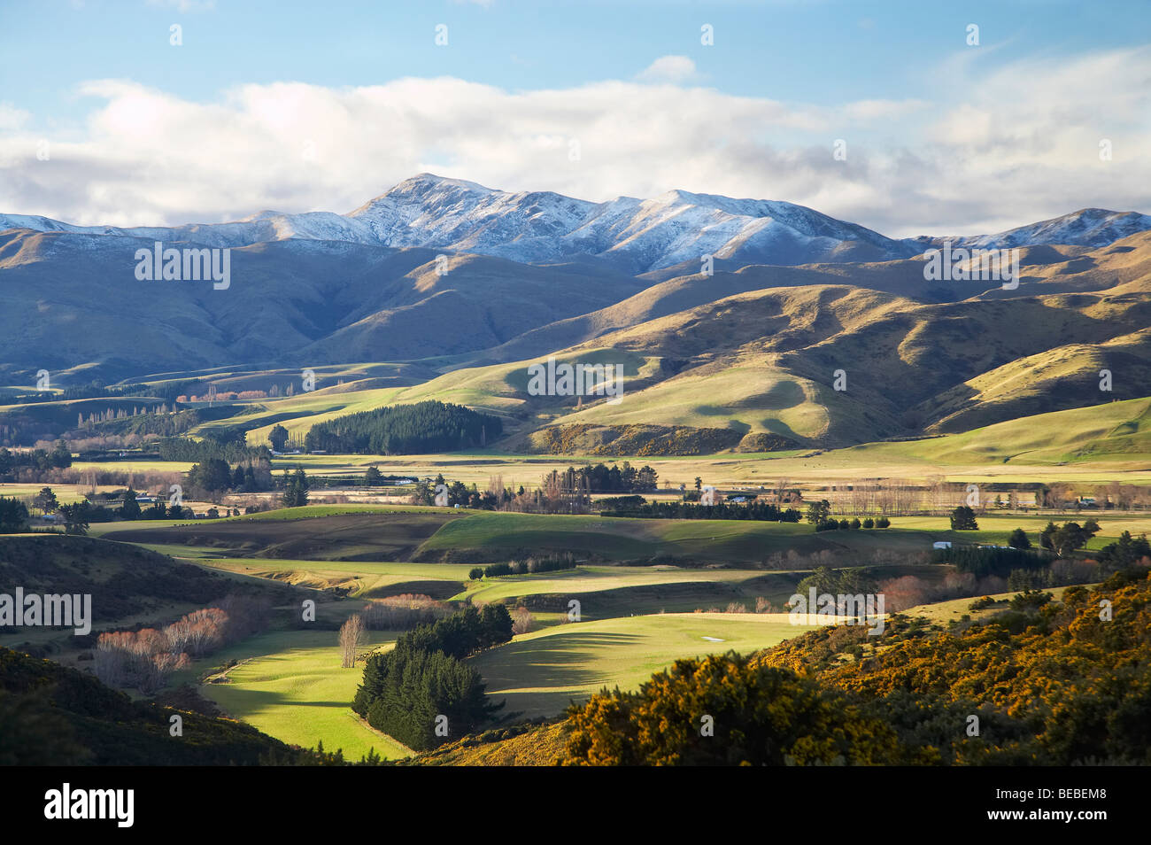 Noxious weeds hires stock photography and images Alamy