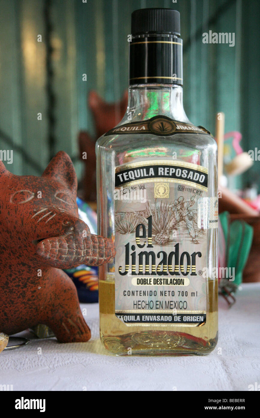 Jimador. Mexican tequila Stock Photo