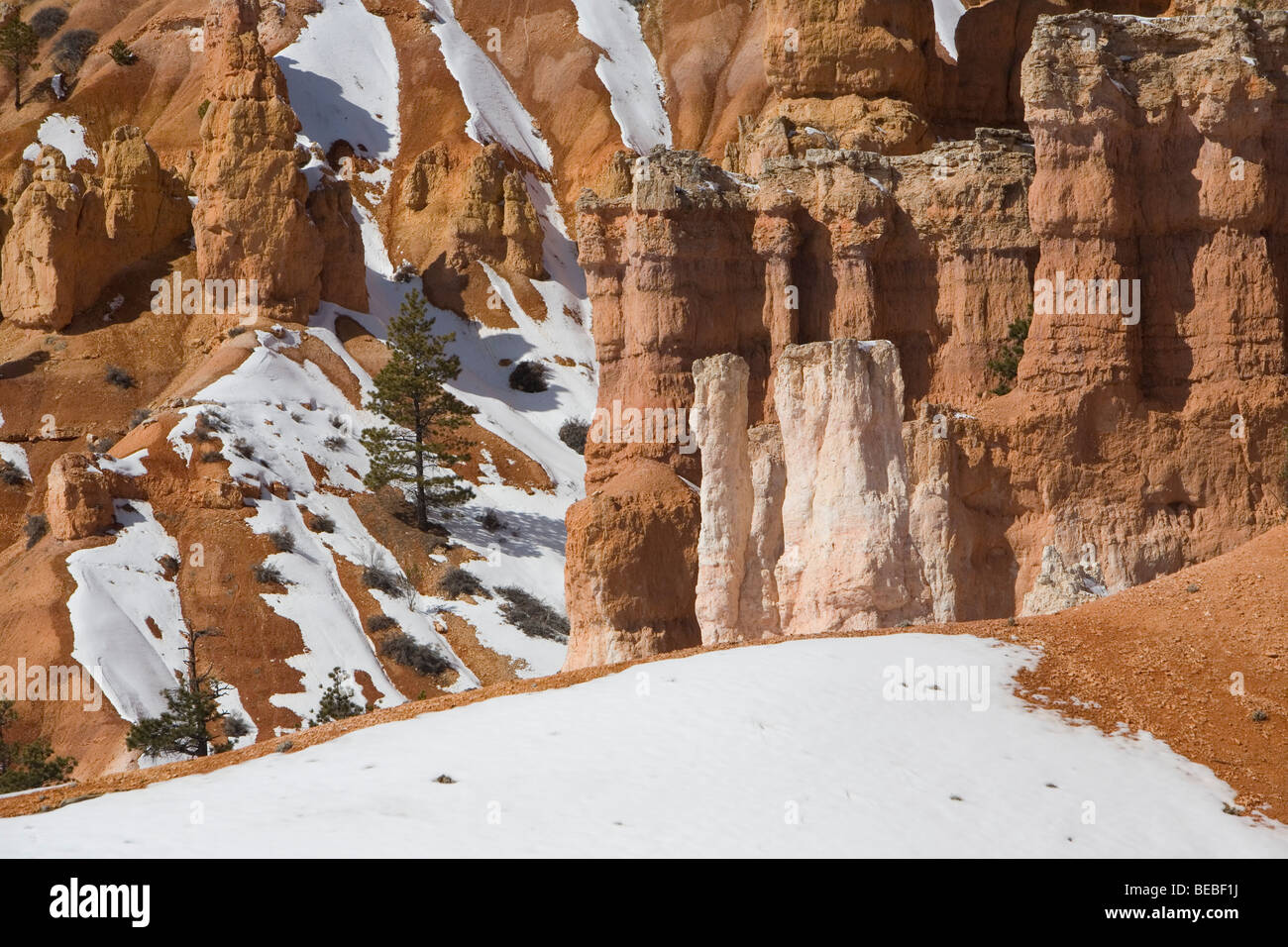Bryce Canyon in Winter Stock Photo