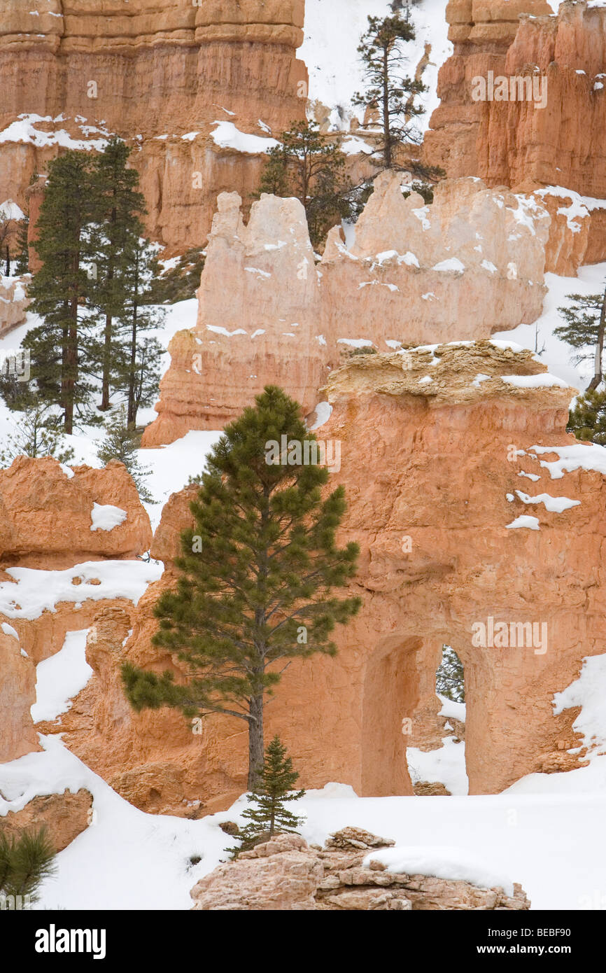 Bryce Canyon in Winter Stock Photo