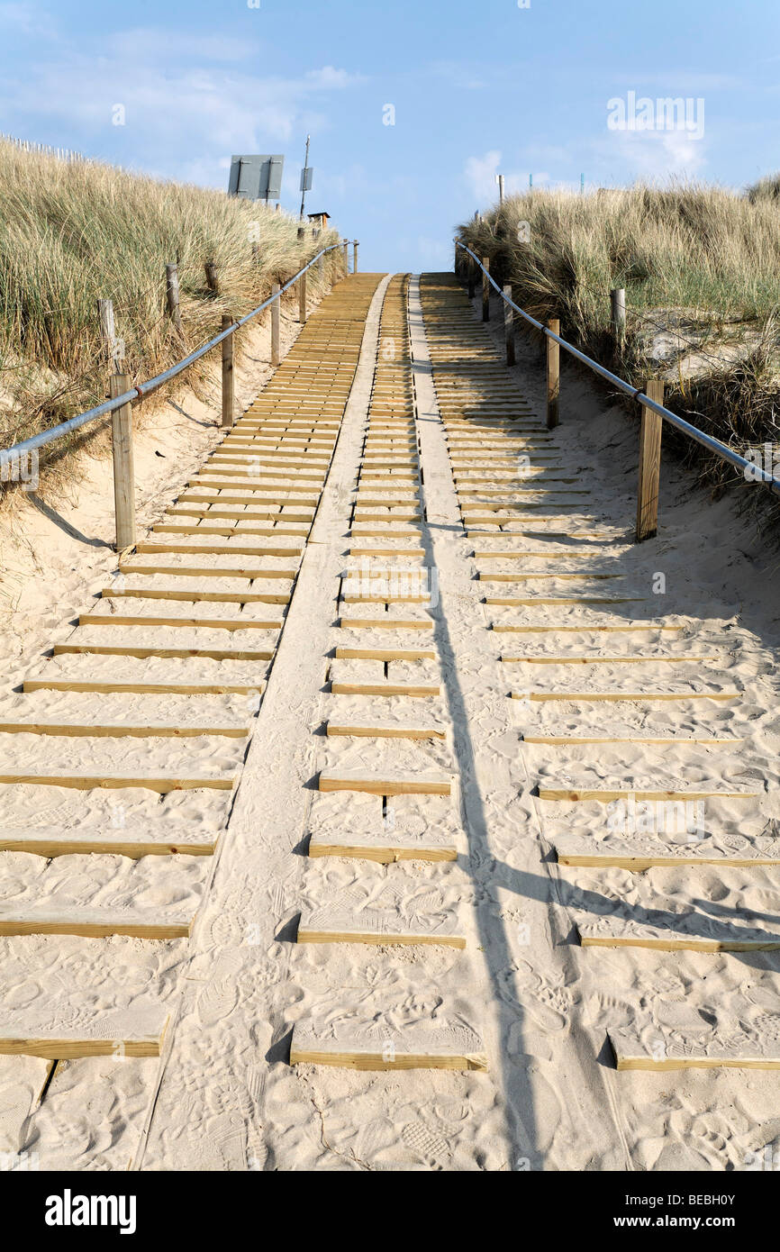 Bildergalerie Bergen aan Zee: A Colorful Journey to the Dutch Coast