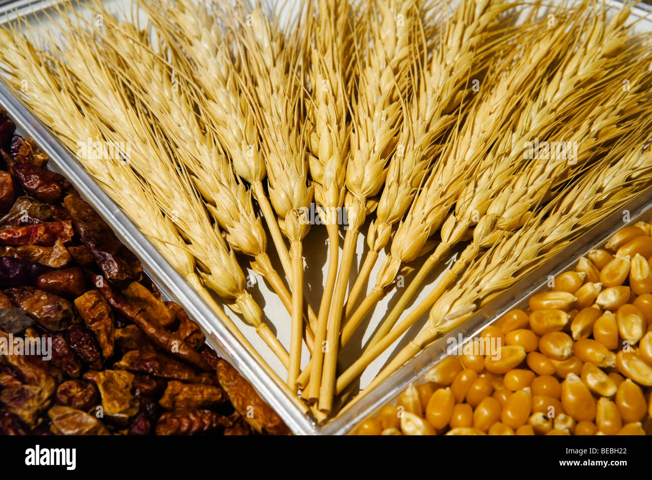 Cereals plant hi-res stock photography and images - Alamy