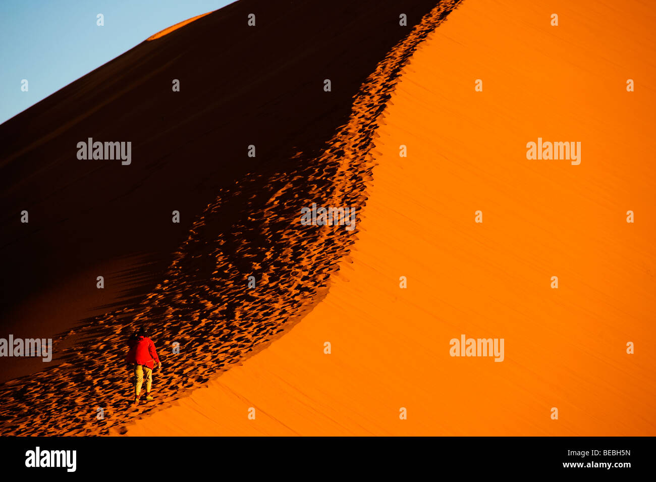 Tourist climbing the Dune 45, Namib Naukluft National Park Namibia ...