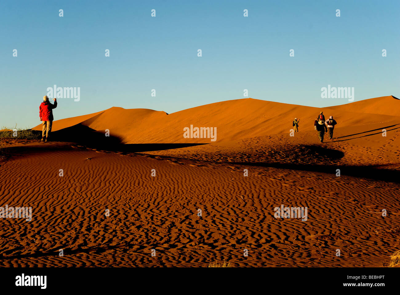 Tourist at Sossusvlei dune, Namib Naukluft National Park, Namibia Stock ...