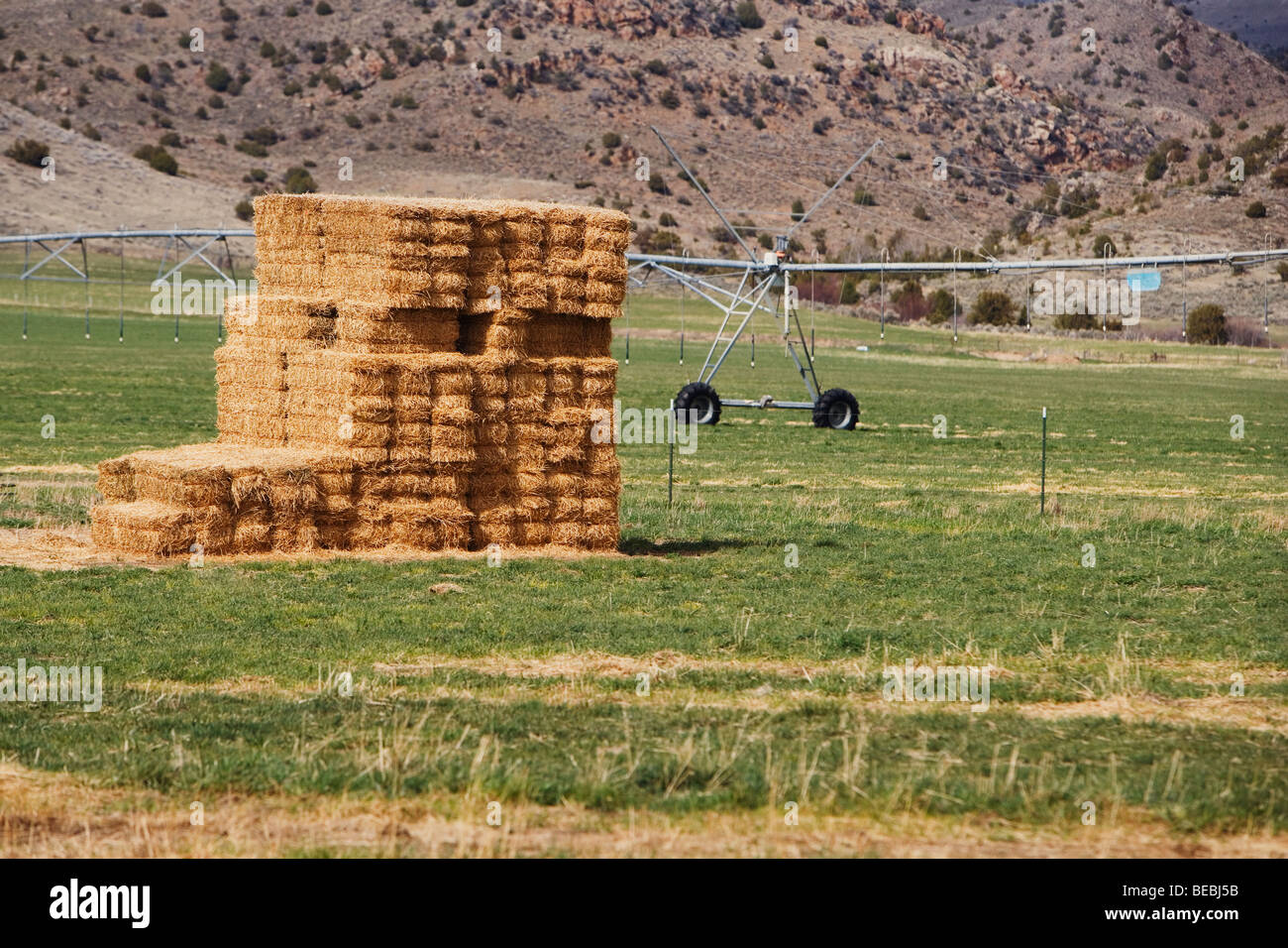 Haystack in the field, Virginia City, Madison County, Montana, USA ...