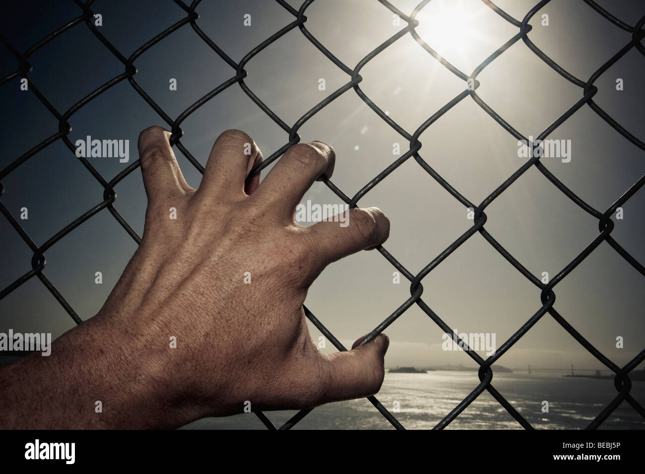 40+ Rusty Fence Crisscross Mesh Stock Photos, Pictures & Royalty-Free  Images - iStock
