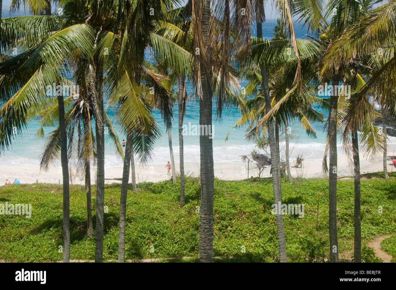 beautiful beach spied through the palm trees in Bali Indonesia Stock Photo