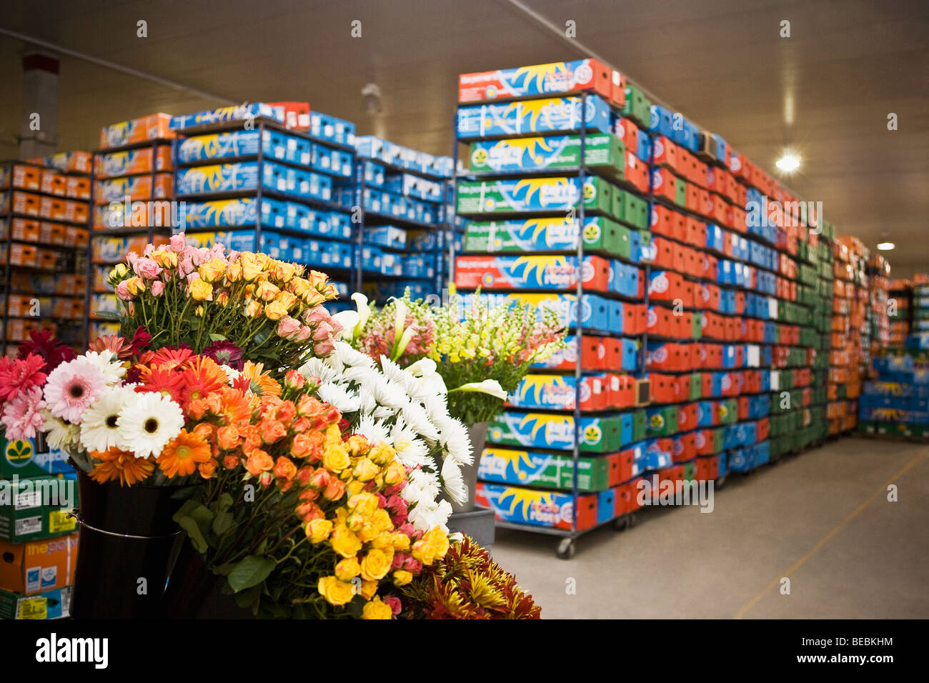 Flower boxes in a warehouse, Miami, Florida, USA Stock Photo Alamy