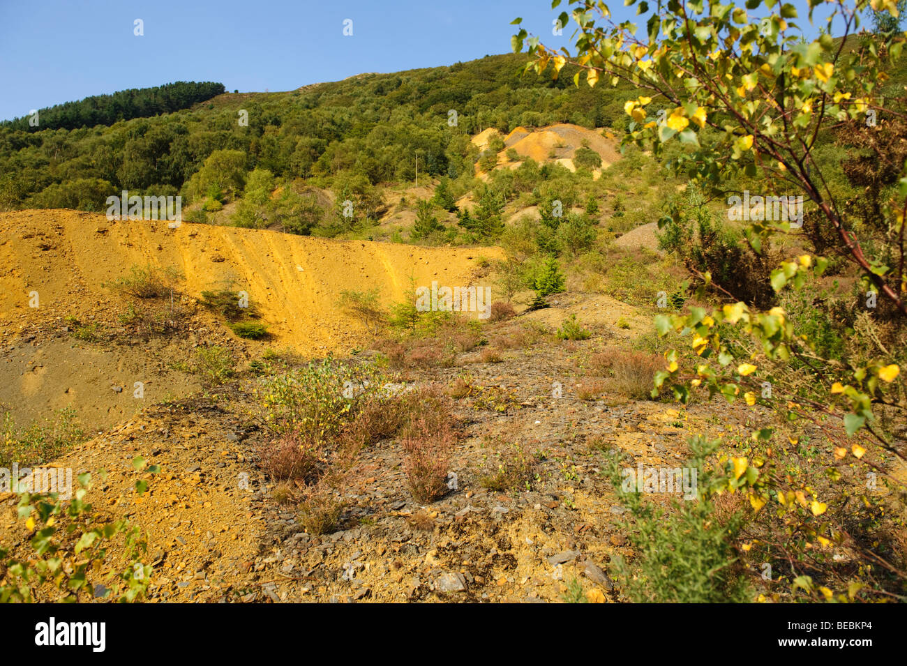 Toxic waste hires stock photography and images Alamy
