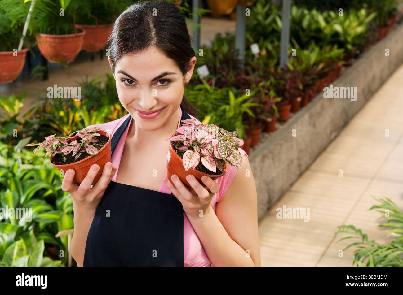 Woman holding potted plants in a greenhouse Stock Photo - Alamy