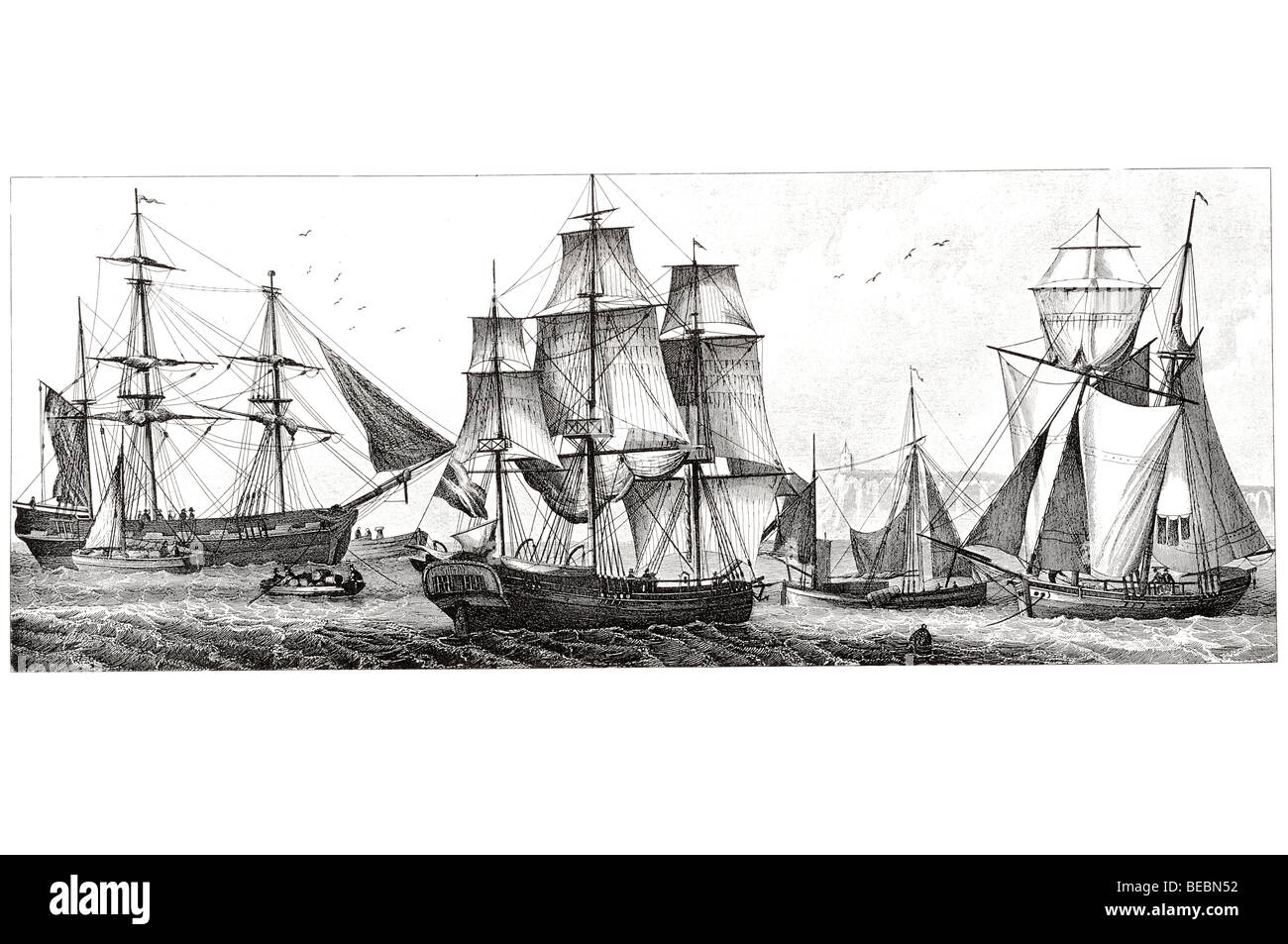 Hermaphrodite hires stock photography and images Alamy