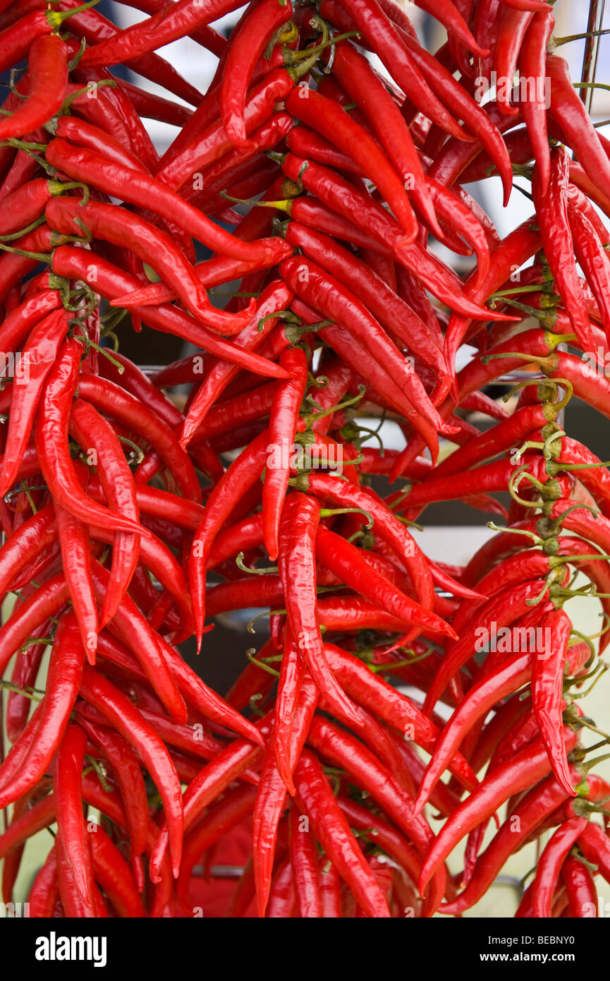 Chilli chillies hi-res stock photography and images - Alamy