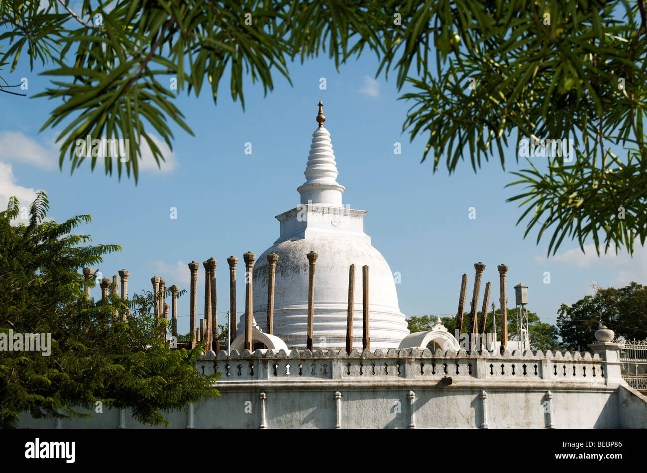 Thuparamaya stupa and ruins Anuradhapura Sri Lanka Stock Photo - Alamy, image size:1300x951