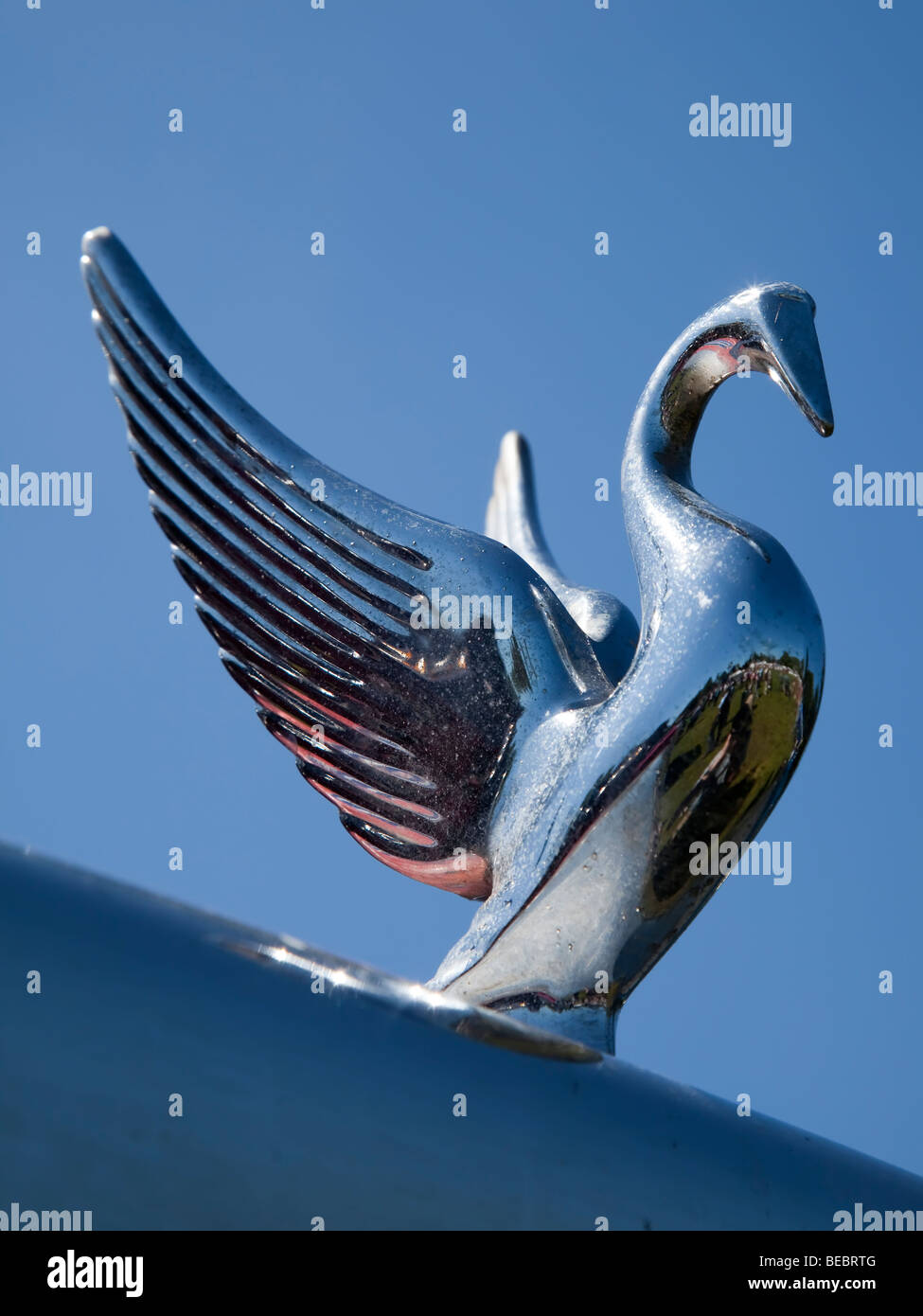 Peterbilt truck bird hood ornament Stock Photo
