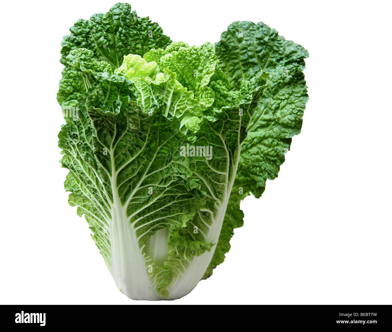 isolated green Chinese cabbage on white background Stock Photo